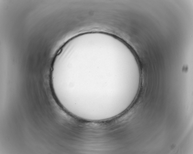 X0000090501500200708102229