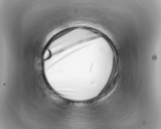 X0000090501501200708102229