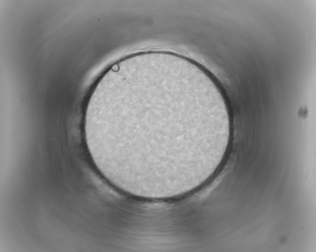 X0000090501502200708102229