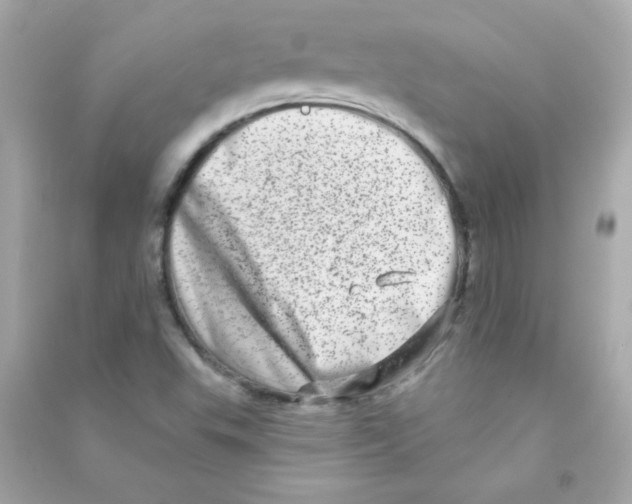 X0000090501503200708102229