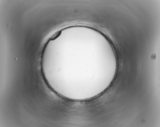 X0000090501504200708102229