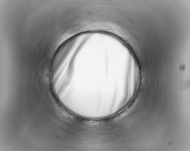 X0000090501505200708102229