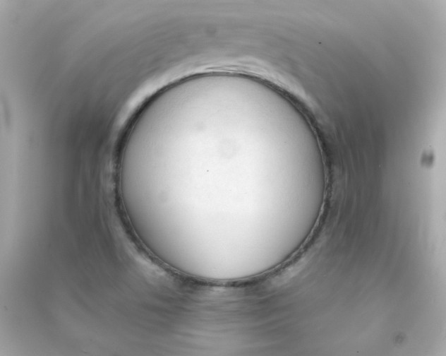 X0000090501506200708102229