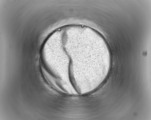 X0000090501507200708102229