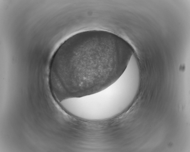 X0000090501508200708102229