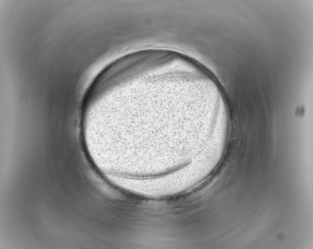 X0000090501511200708102229