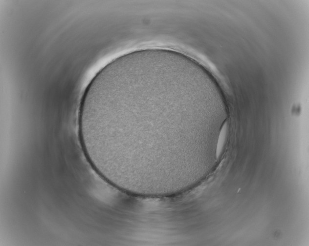 X0000090501512200708102229