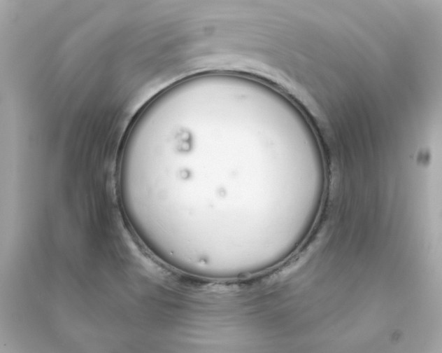 X0000090501513200708102229