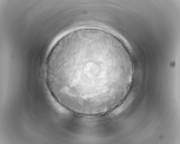 X0000090501514200708102229