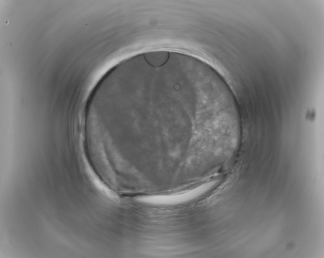 X0000090501515200708102229