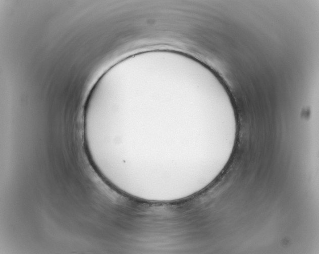 X0000090501516200708102229