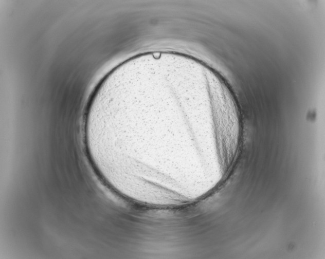 X0000090501517200708102229