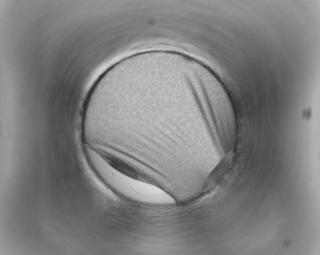 X0000090501518200708102229