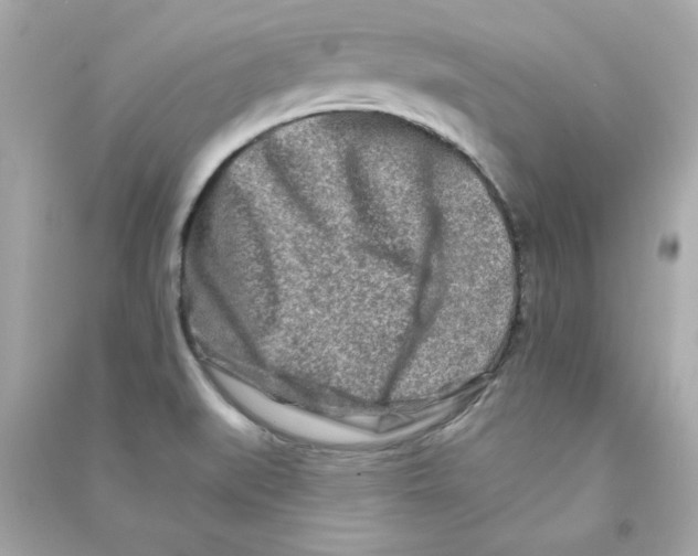 X0000090501519200708102229