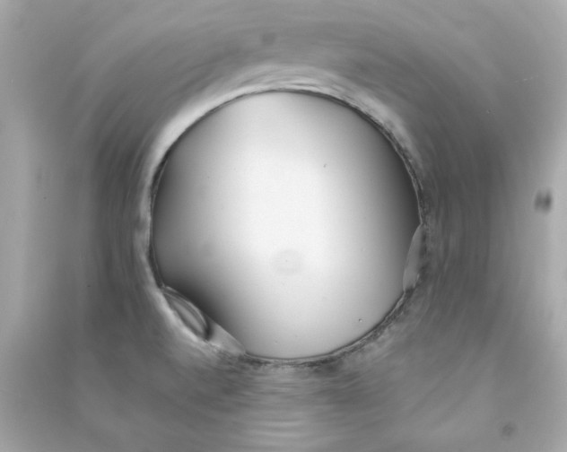 X0000090501520200708102229