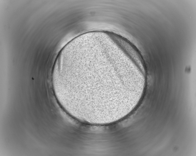 X0000090501521200708102229