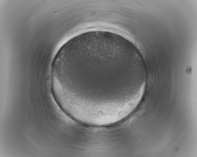 X0000090501522200708102229