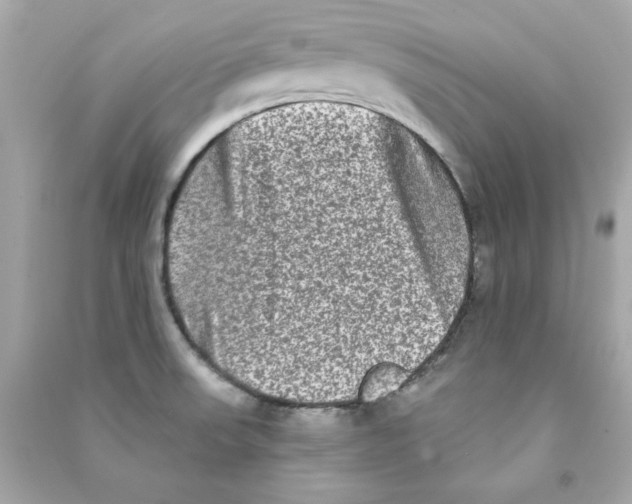 X0000090501523200708102229