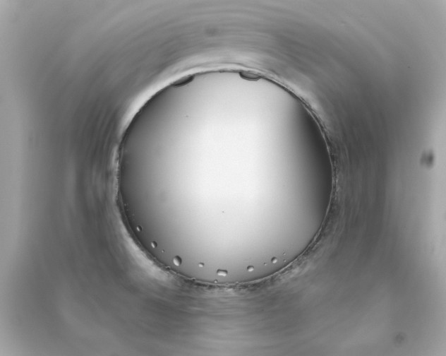 X0000090501524200708102229