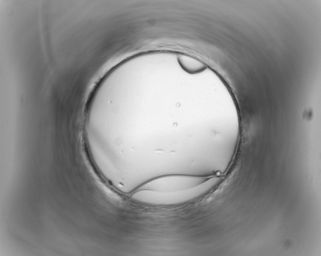 X0000090501525200708102229