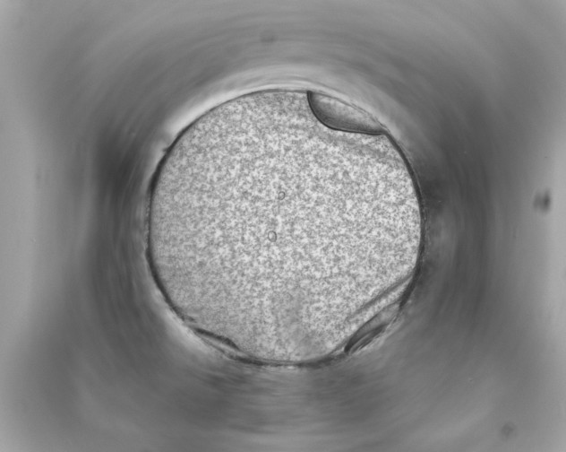 X0000090501526200708102229