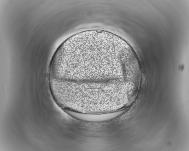 X0000090501527200708102229