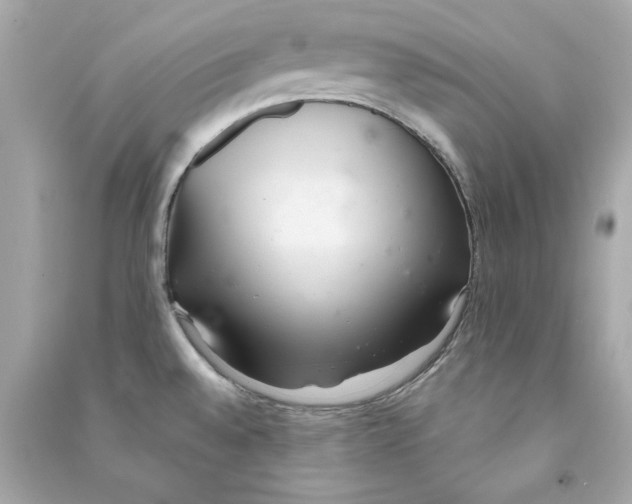 X0000090501528200708102229