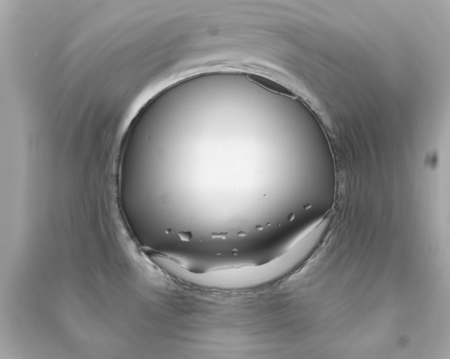 X0000090501530200708102229