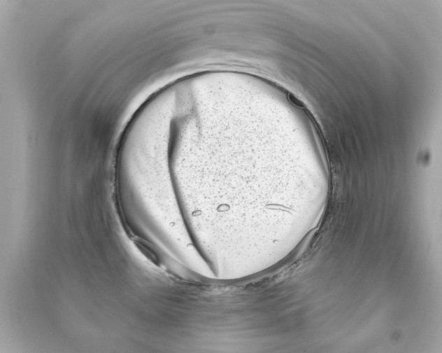 X0000090501531200708102229