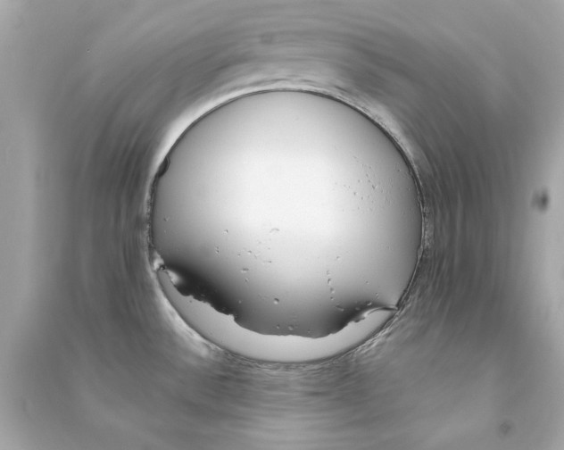 X0000090501532200708102230