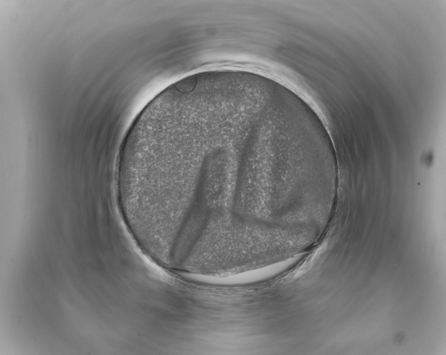 X0000090501533200708102230