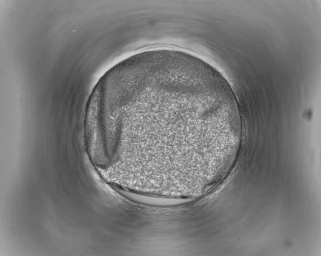 X0000090501534200708102230