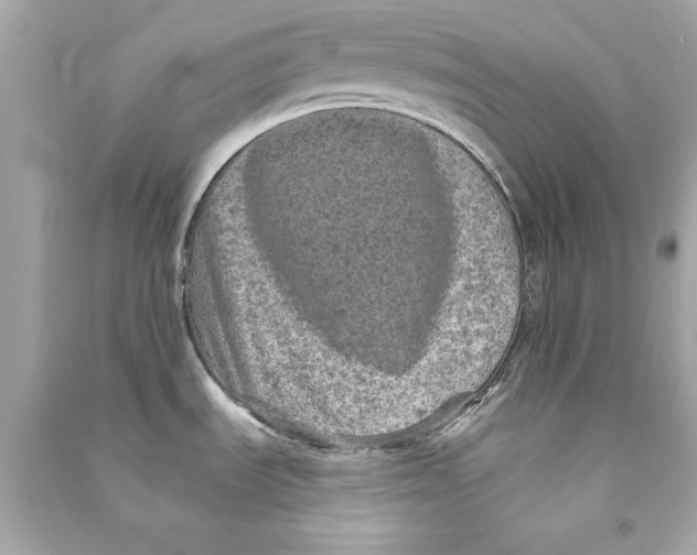 X0000090501535200708102230