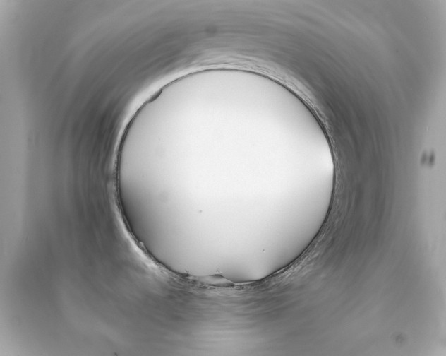 X0000090501536200708102230