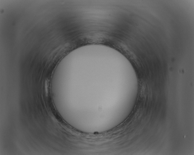 X0000090600026200707171120