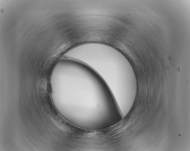 X0000090600072200707171119