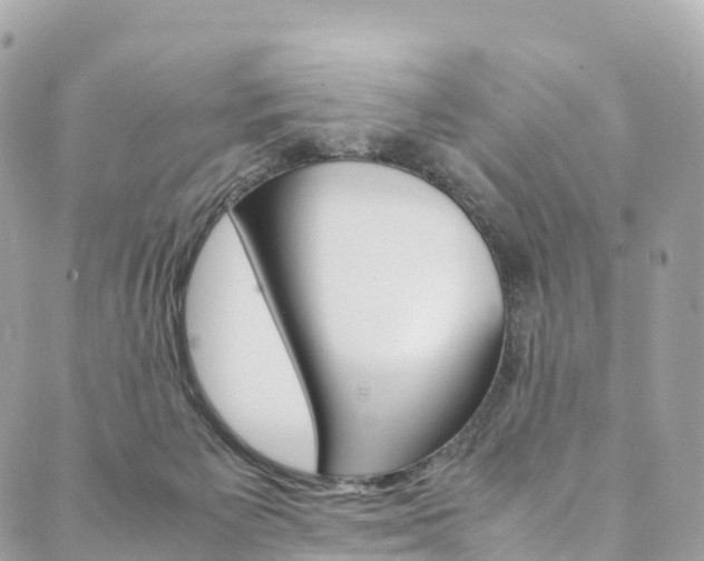 X0000090600125200707171118