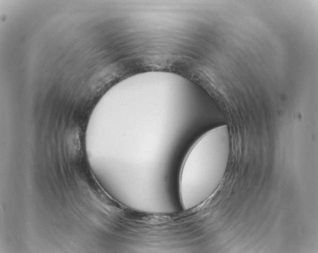 X0000090600128200707171118