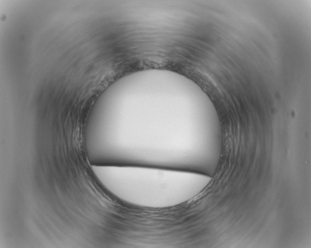 X0000090600134200707171118