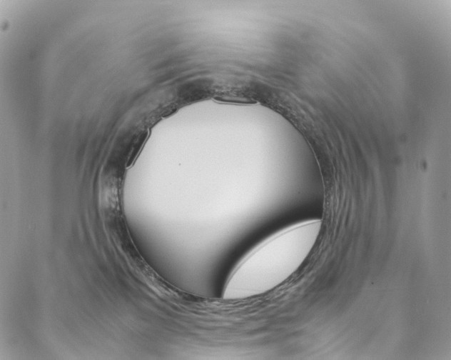 X0000090600137200707171118