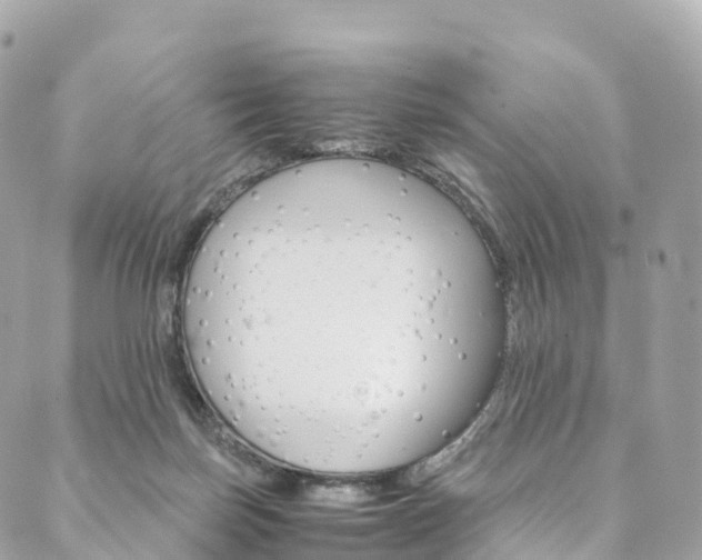 X0000090600171200707171117
