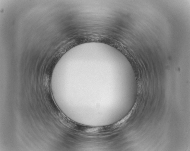 X0000090600178200707171117