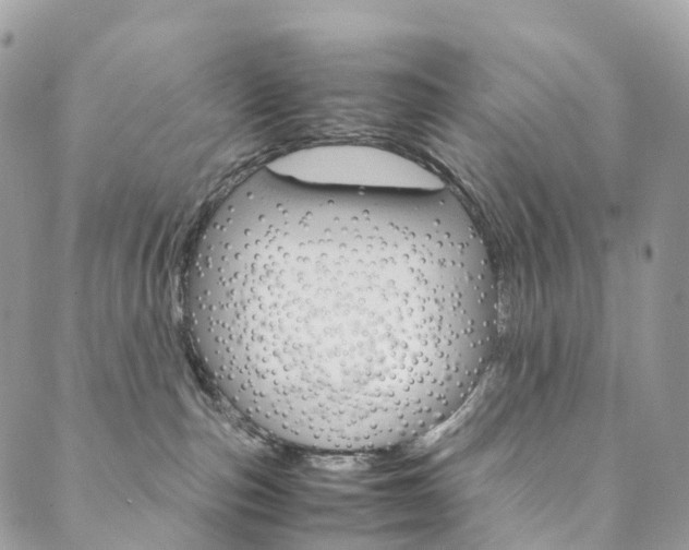 X0000090600187200707171118