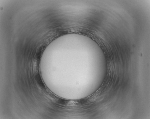X0000090600222200707171116