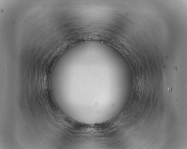 X0000090600224200707171116