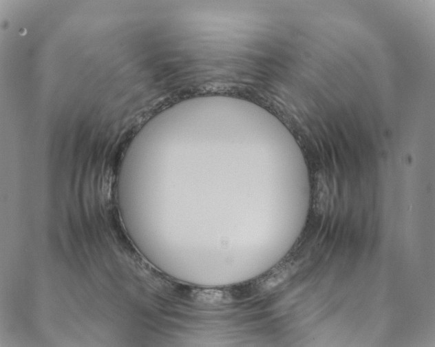 X0000090600230200707171116