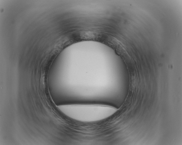 X0000090600267200707171116
