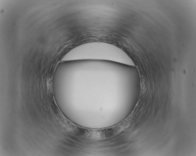 X0000090600276200707171116