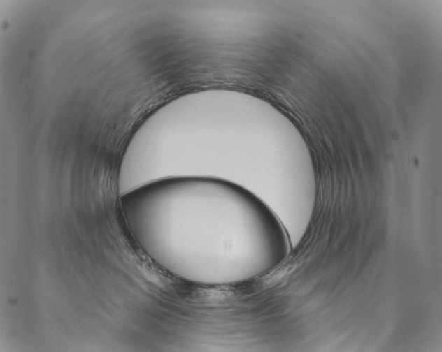 X0000090600286200707171116