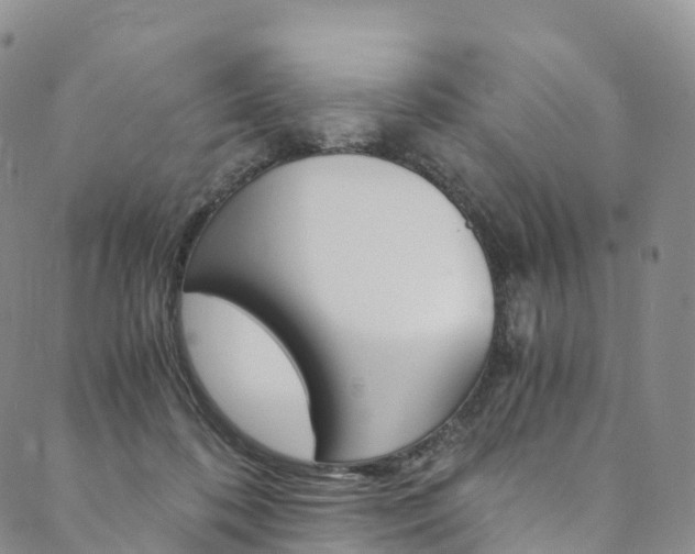 X0000090600316200707171115